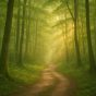 51 - Lessons in Humility: What Sponsorship Taught Me About Myself